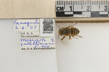 Media type: image;   Entomology 794855 Aspect: Labels